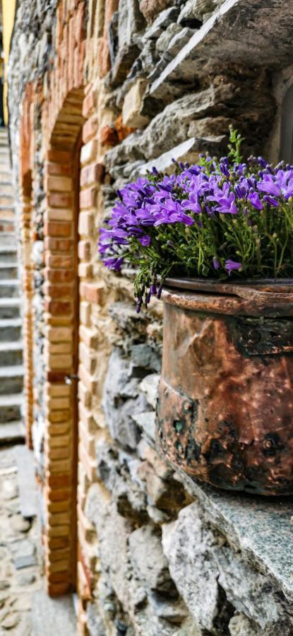 Musso Agriturismo Il Medeghino מראה חיצוני תמונה